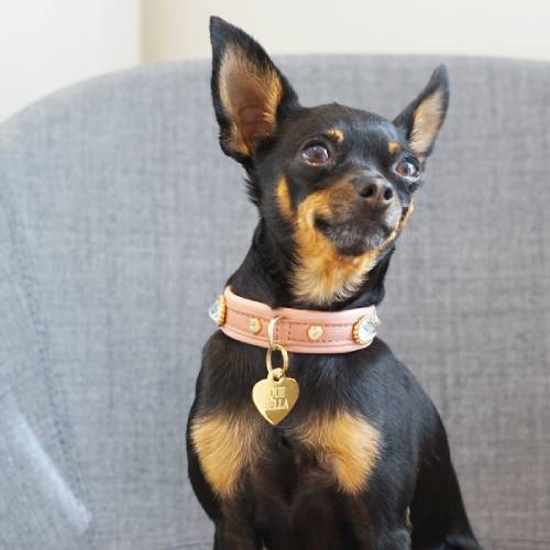 Bella